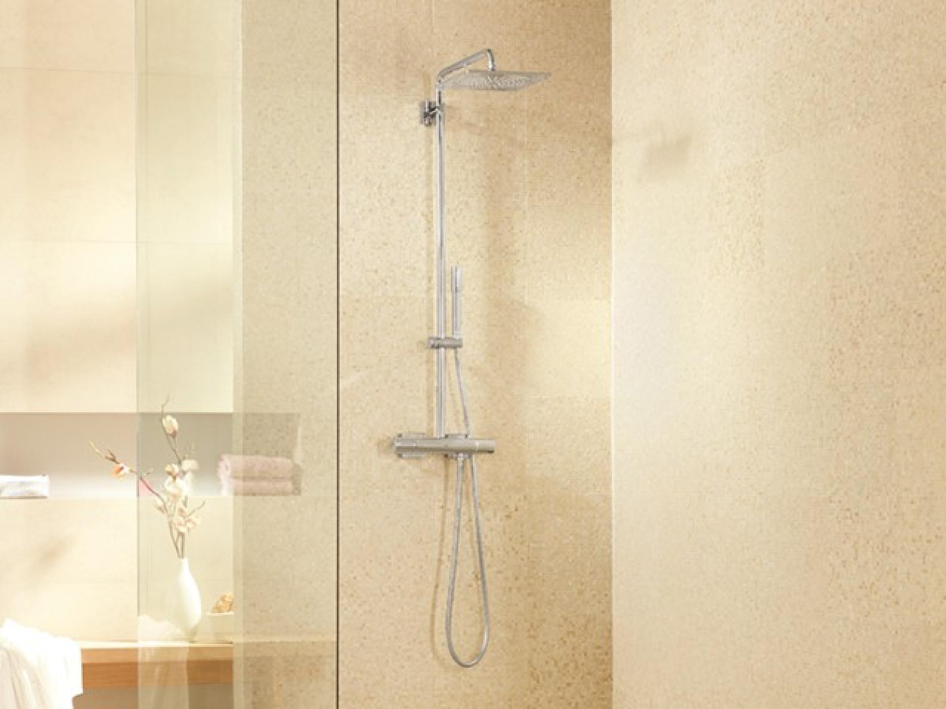 Фото — Grohe Rainshower F-series 27569000  GROHE